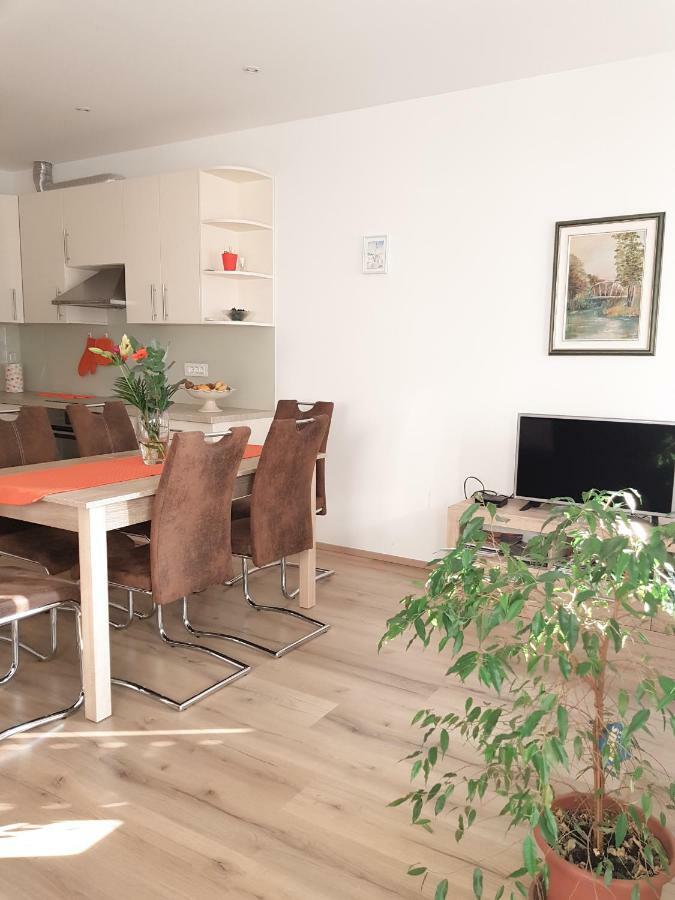 Prenocisca Rusjan Apartment Rence Exterior photo